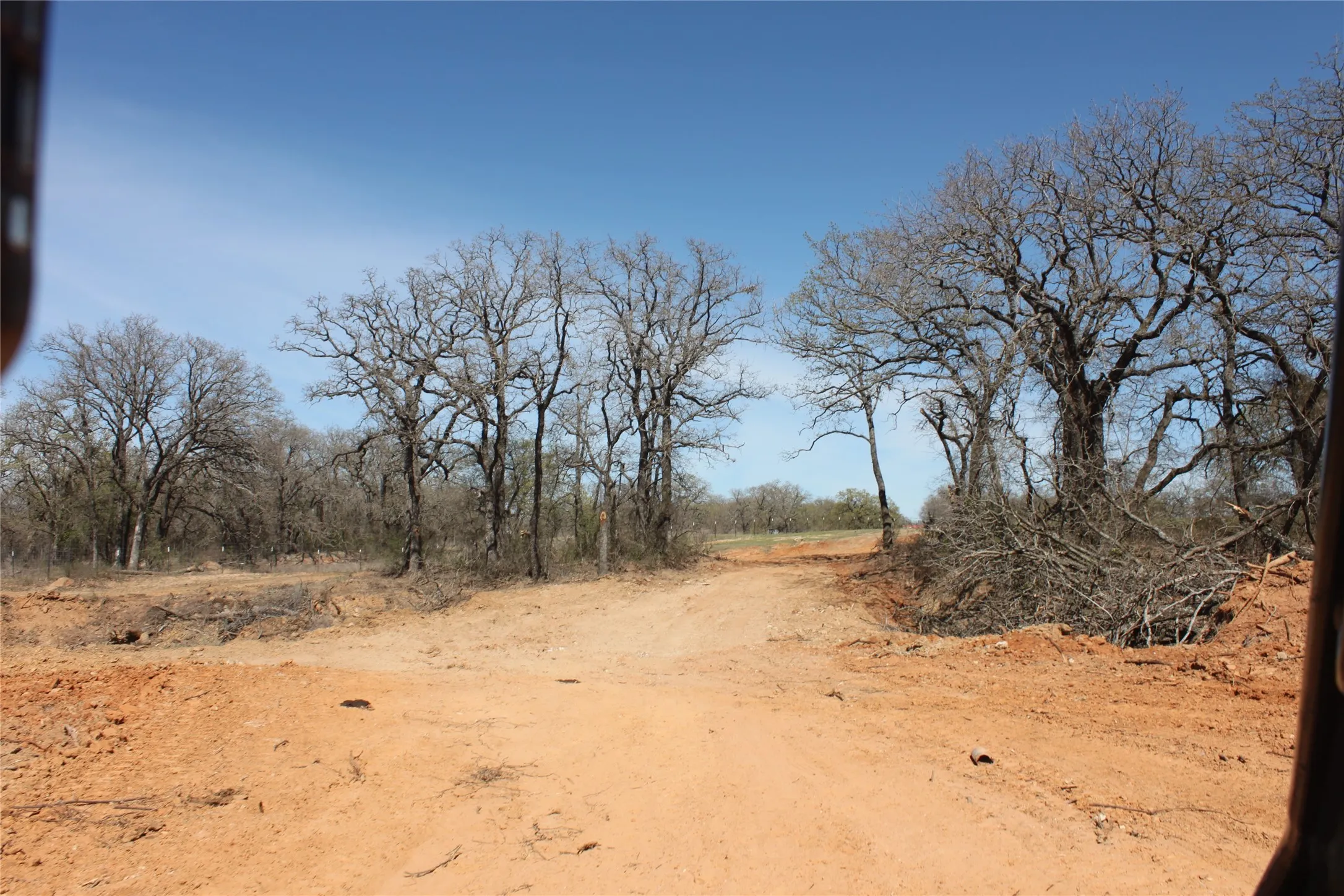View of nature and cleared area to drive a tractor