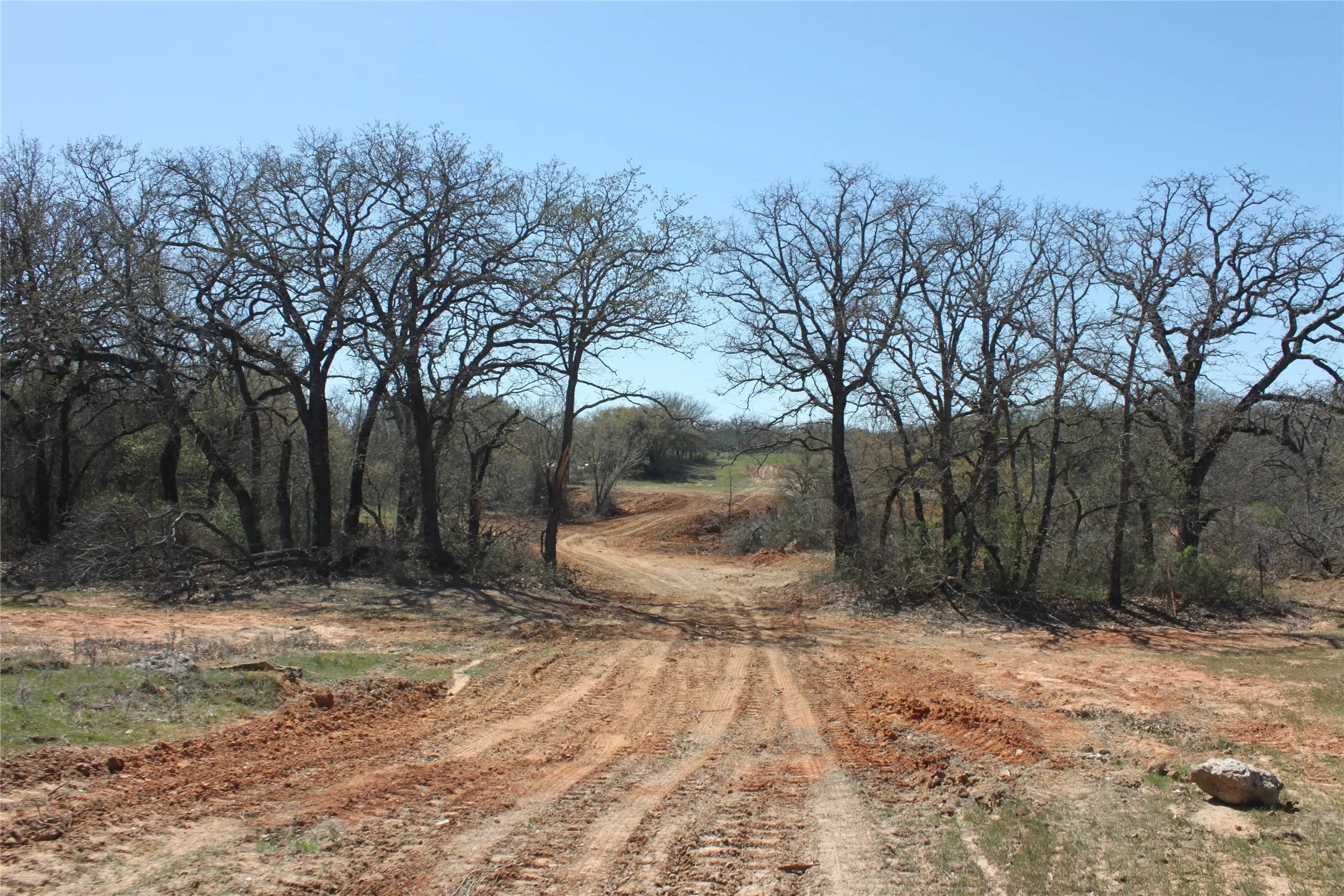 cleared a path to make it easier to access all 32 acres of land.