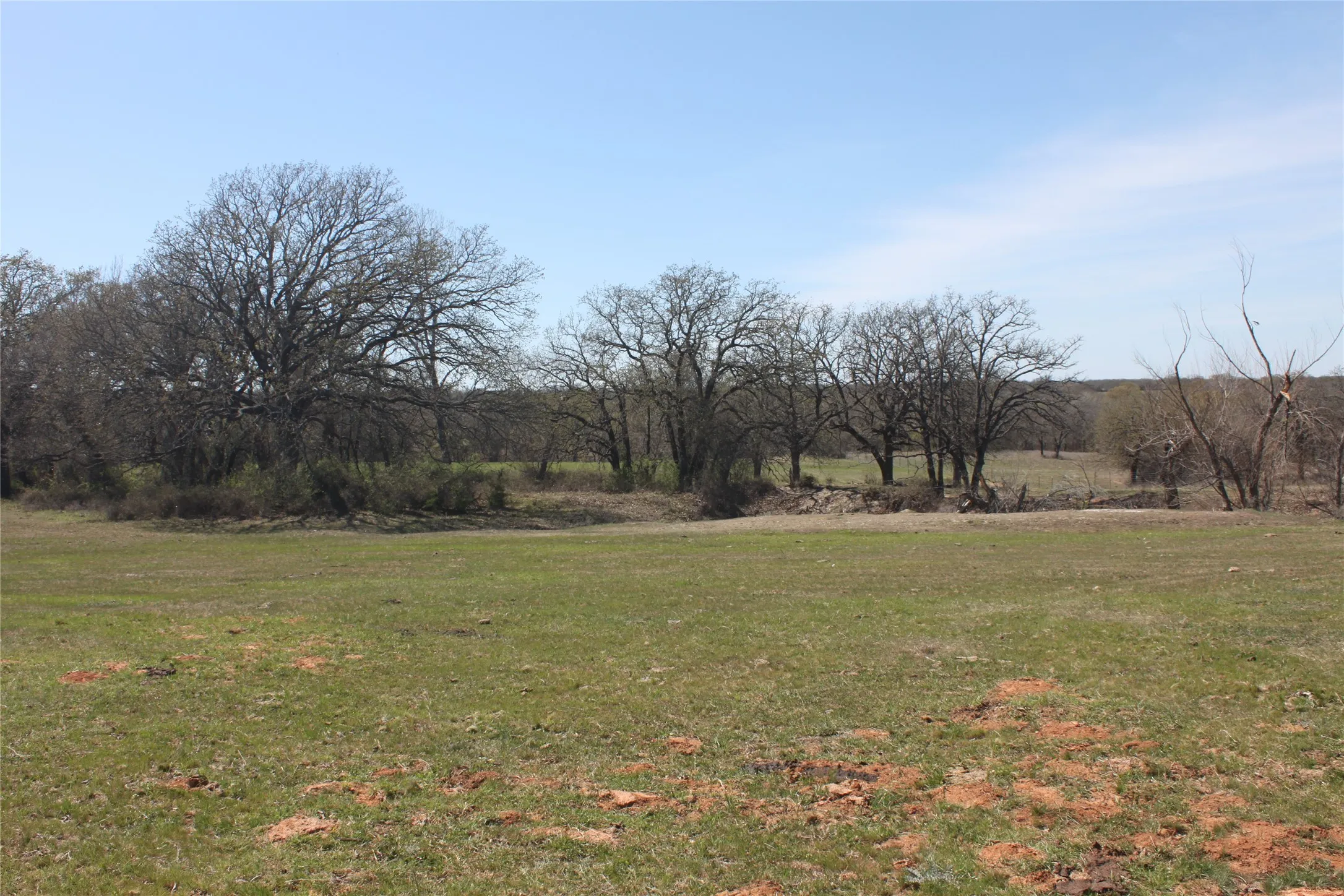 View of yard with a rural view
