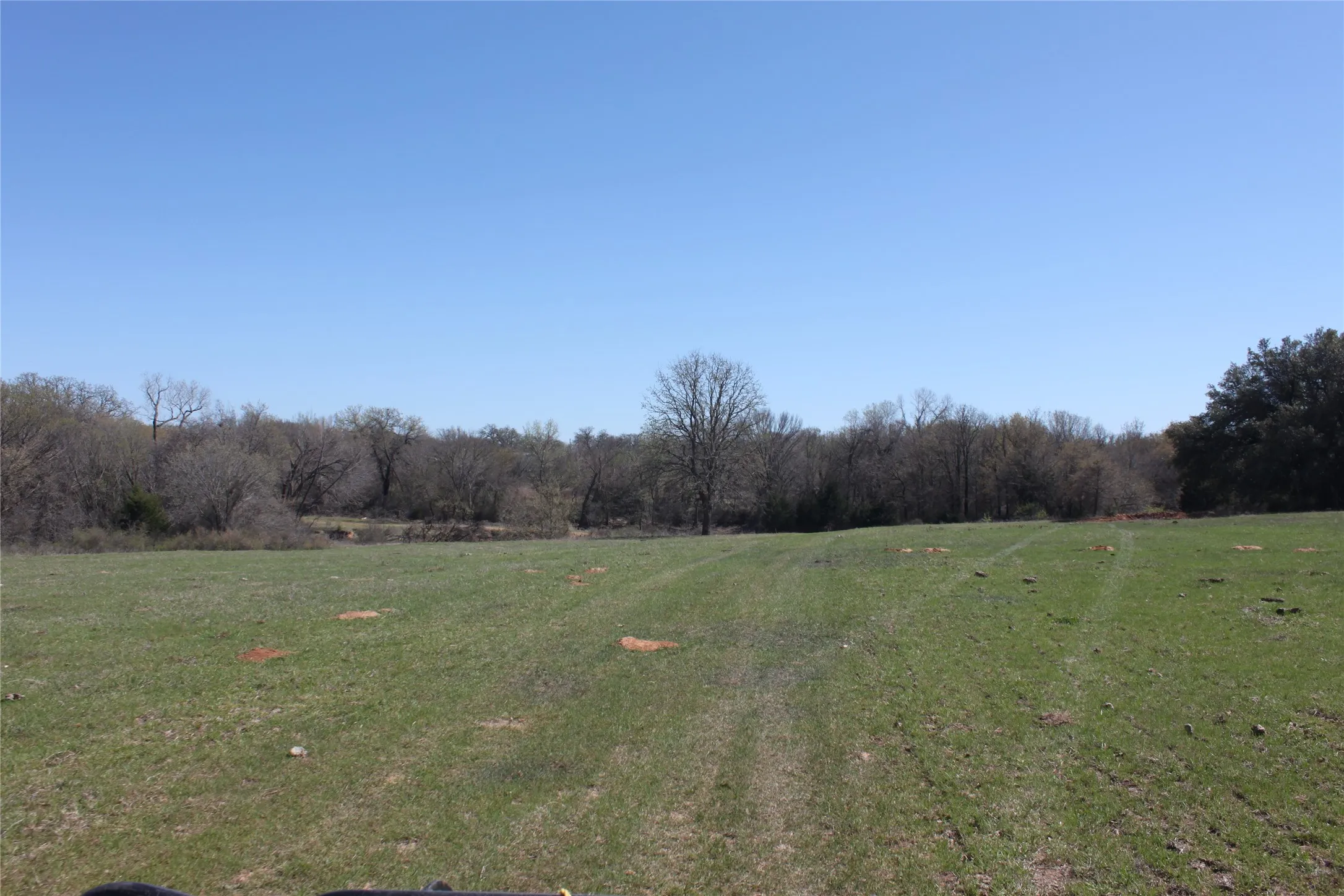 View of yard featuring a wooded view