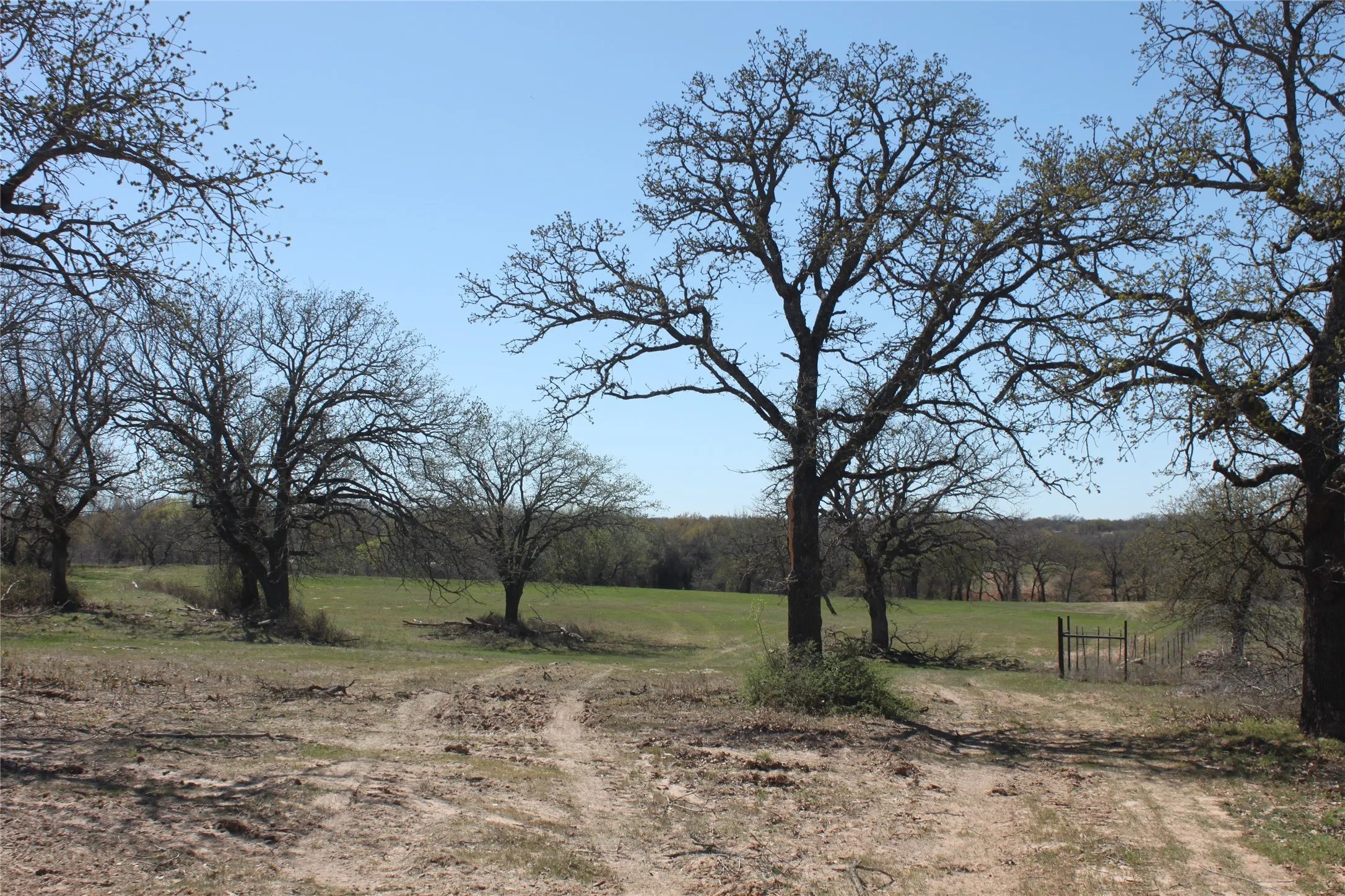 Unimproved Land For Sale in Wise County , TBD Bullion Road, Springtown, Texas 76082, 0, 0, Garage spaces, 0 Sqft, built in 0, Price $444,800, mls#20873401, Real Estate Agent in Springtown, Homes For Sale in Wise county, Homes For Sale in Springtown, Realtor in Springtown Texas, Real Estate Brokerage Independent Realty Texas, Luminita Cordes Realtor