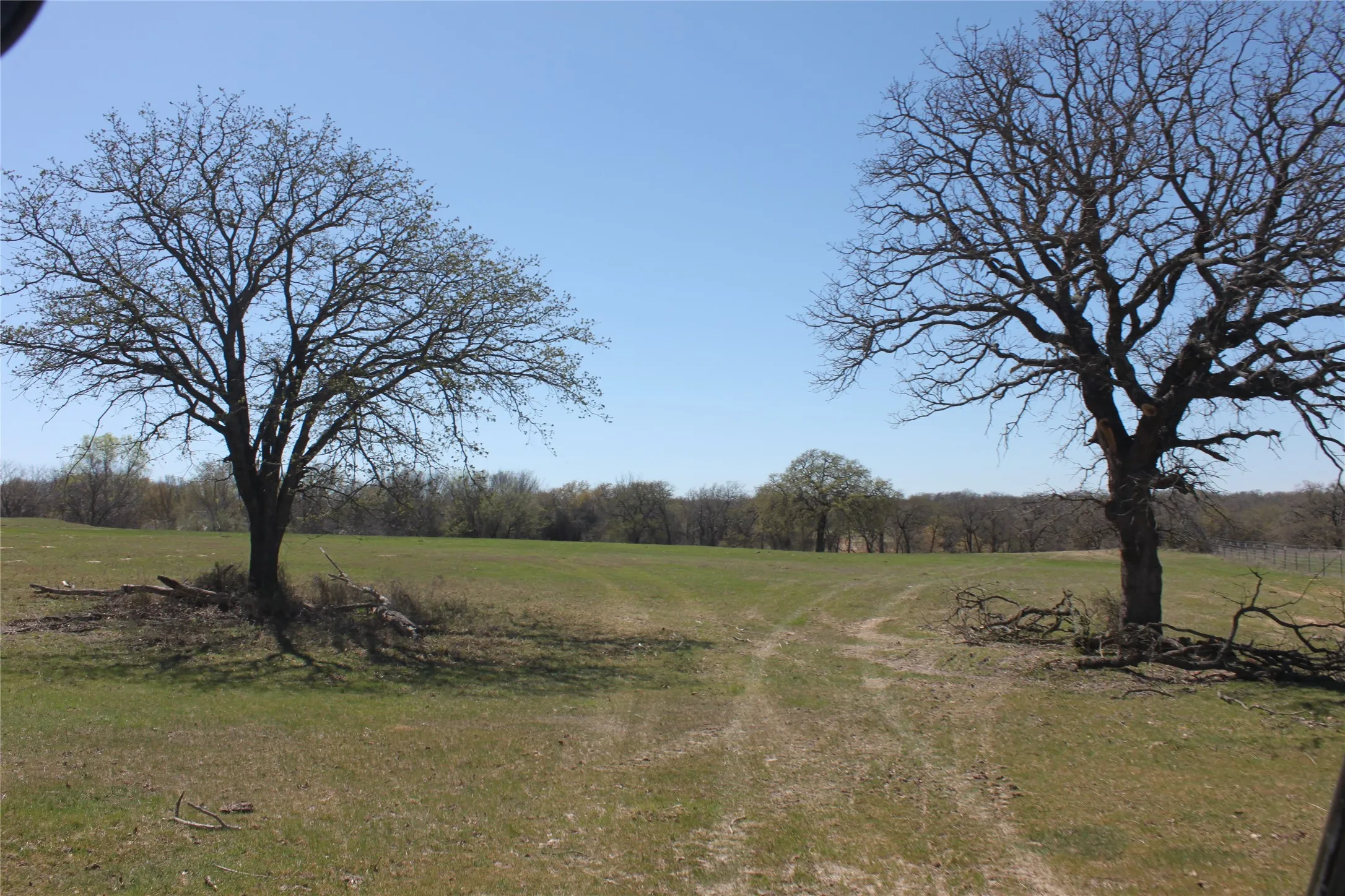 View of pathway and plenty of space to build a custom home