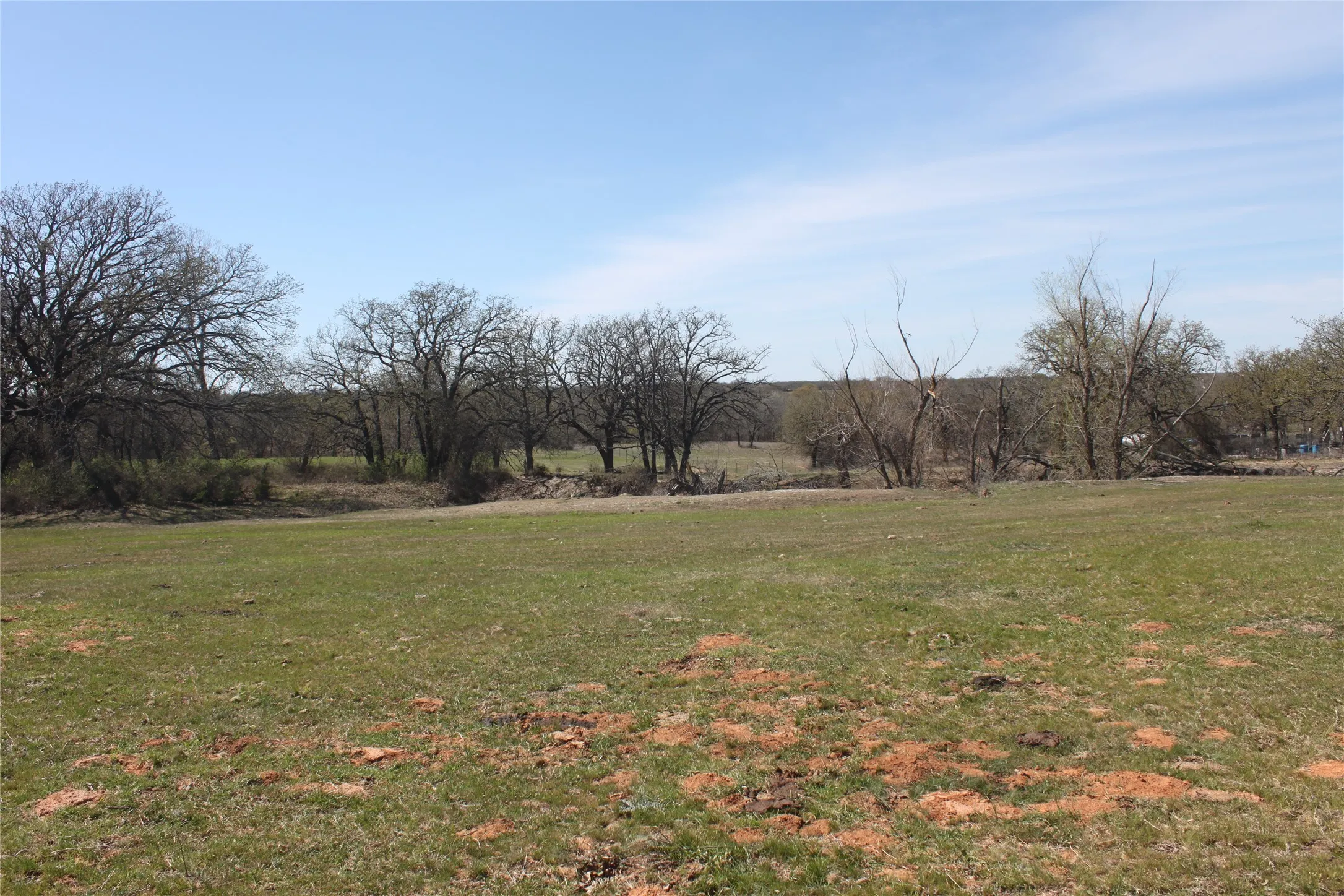 View of yard with a rural view