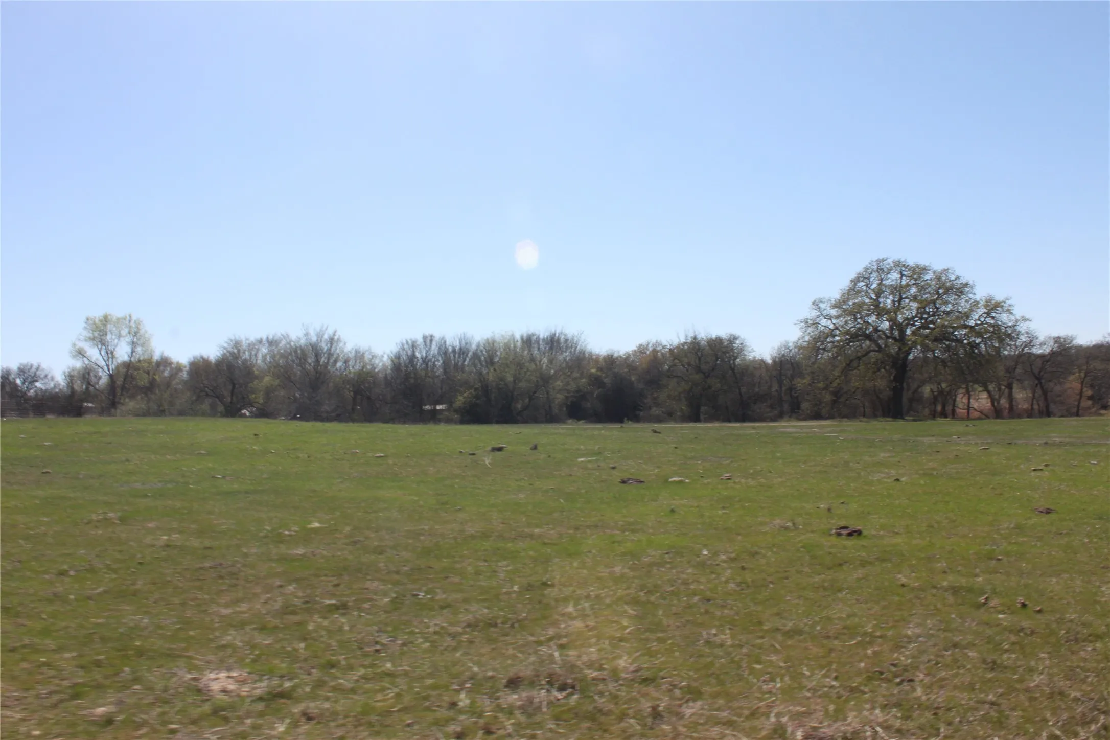 View of nature