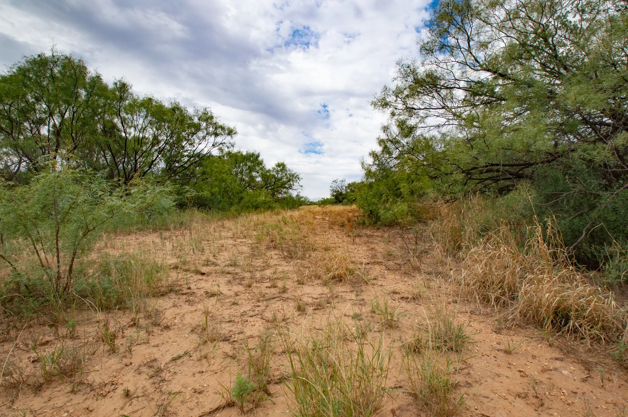 Ranch For Sale in Mitchell County , 3108 CR 125, Colorado City, Texas 79512, 0, 0, Garage spaces, 0 Sqft, built in 0, mls#20874509, Real Estate Agent in Colorado City, Homes For Sale in Mitchell county, Homes For Sale in Colorado City, Realtor in Colorado City Texas, Real Estate Brokerage Independent Realty Texas, Luminita Cordes Realtor