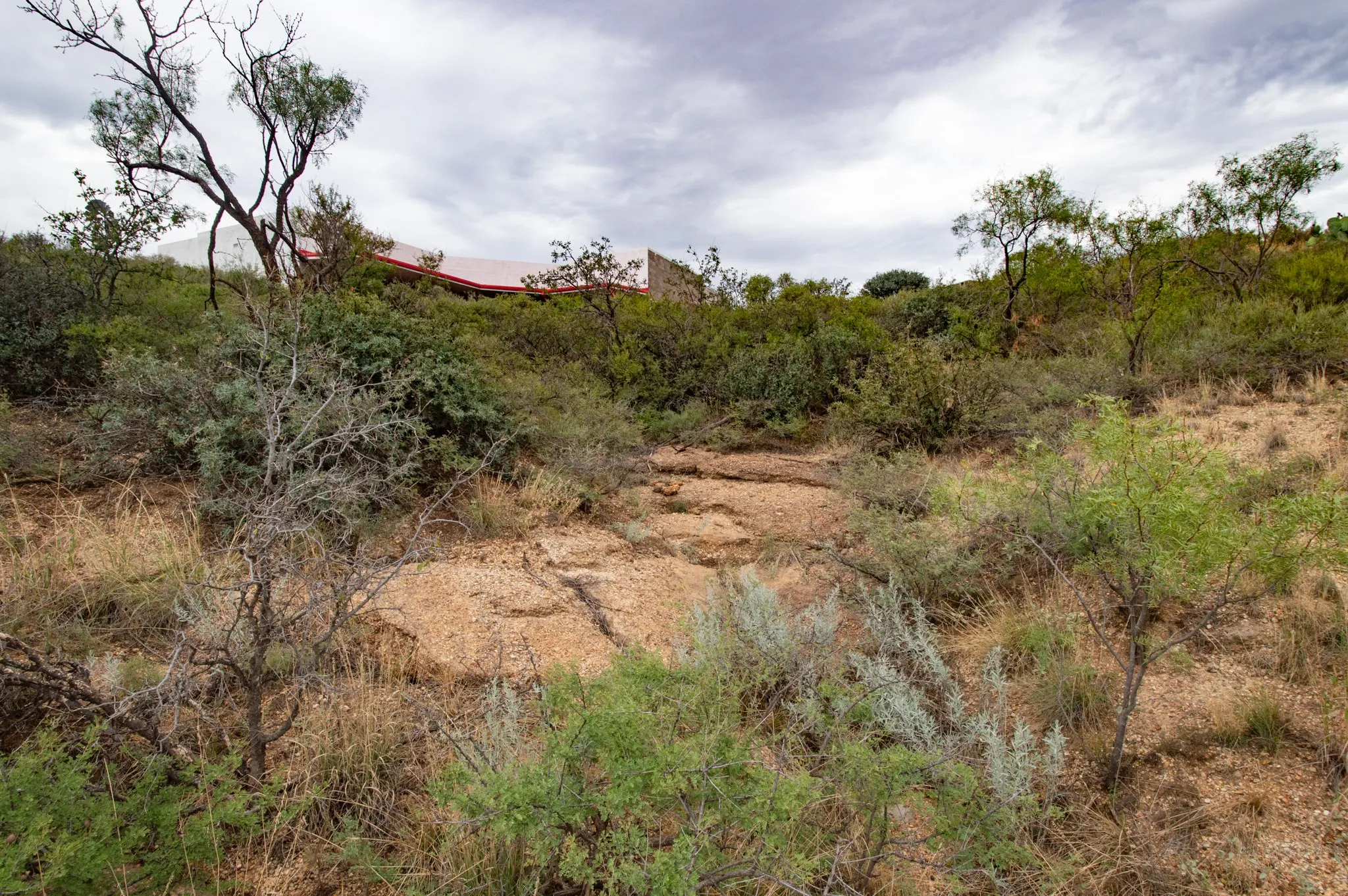 Ranch For Sale in Mitchell County , 3108 CR 125, Colorado City, Texas 79512, 0, 0, Garage spaces, 0 Sqft, built in 0, mls#20874509, Real Estate Agent in Colorado City, Homes For Sale in Mitchell county, Homes For Sale in Colorado City, Realtor in Colorado City Texas, Real Estate Brokerage Independent Realty Texas, Luminita Cordes Realtor