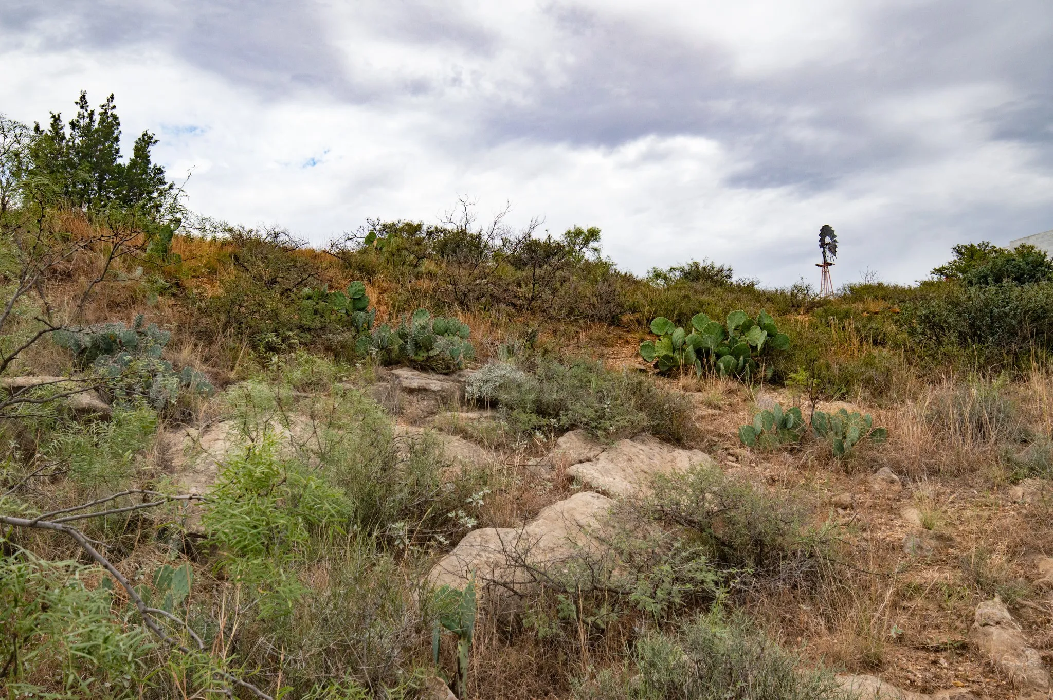 Ranch For Sale in Mitchell County , 3108 CR 125, Colorado City, Texas 79512, 0, 0, Garage spaces, 0 Sqft, built in 0, mls#20874509, Real Estate Agent in Colorado City, Homes For Sale in Mitchell county, Homes For Sale in Colorado City, Realtor in Colorado City Texas, Real Estate Brokerage Independent Realty Texas, Luminita Cordes Realtor