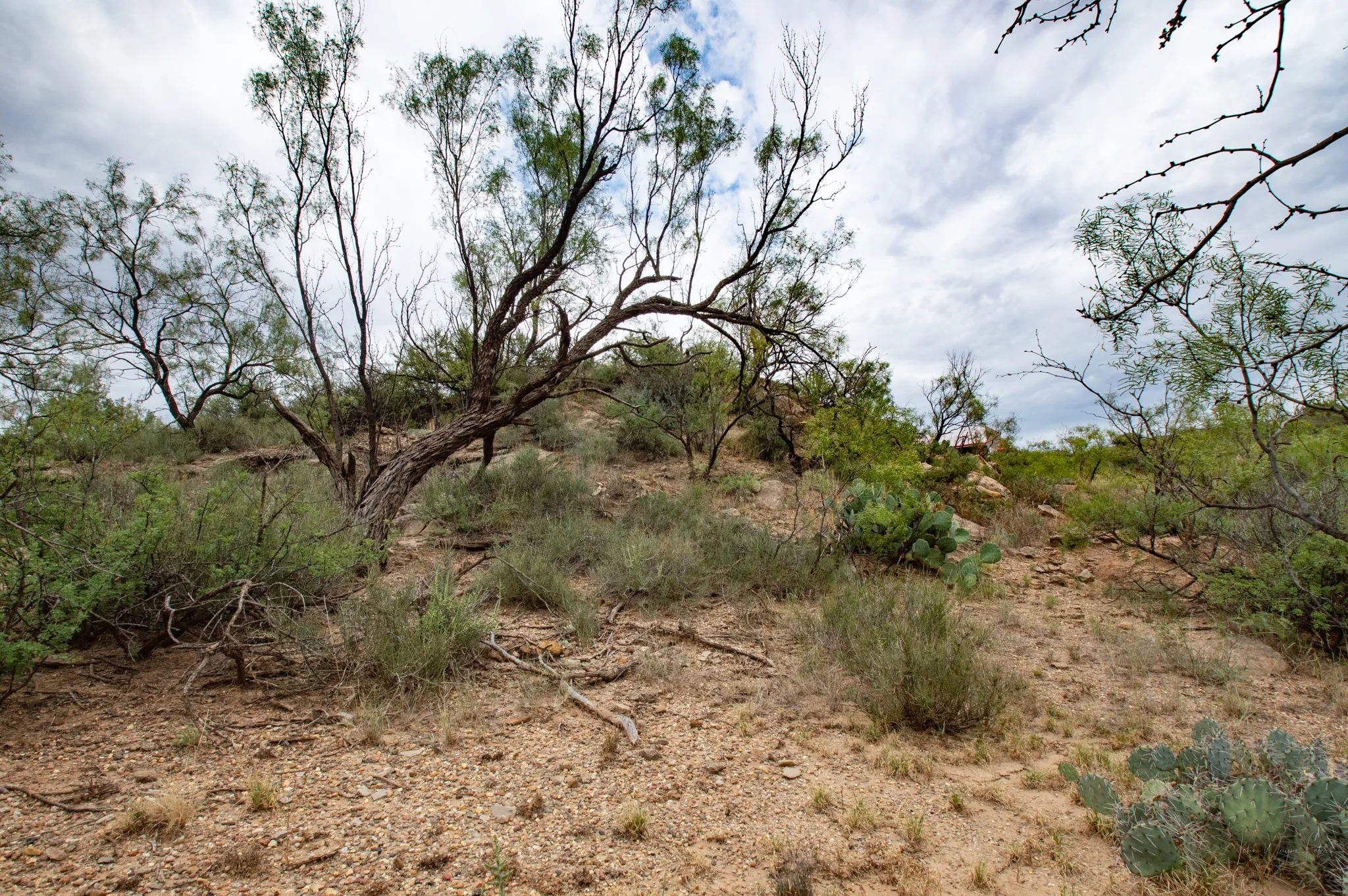 Ranch For Sale in Mitchell County , 3108 CR 125, Colorado City, Texas 79512, 0, 0, Garage spaces, 0 Sqft, built in 0, mls#20874509, Real Estate Agent in Colorado City, Homes For Sale in Mitchell county, Homes For Sale in Colorado City, Realtor in Colorado City Texas, Real Estate Brokerage Independent Realty Texas, Luminita Cordes Realtor