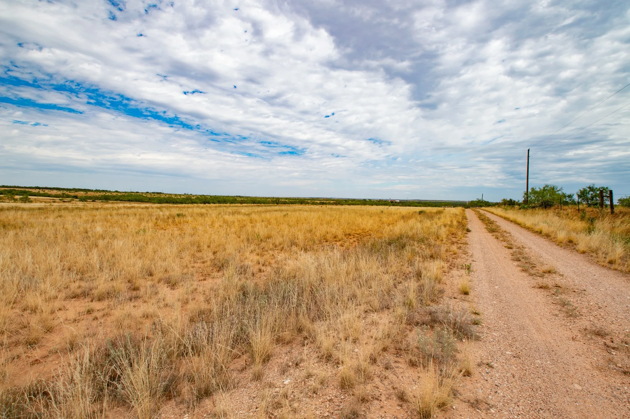 Ranch For Sale in Mitchell County , 3108 CR 125, Colorado City, Texas 79512, 0, 0, Garage spaces, 0 Sqft, built in 0, mls#20874509, Real Estate Agent in Colorado City, Homes For Sale in Mitchell county, Homes For Sale in Colorado City, Realtor in Colorado City Texas, Real Estate Brokerage Independent Realty Texas, Luminita Cordes Realtor