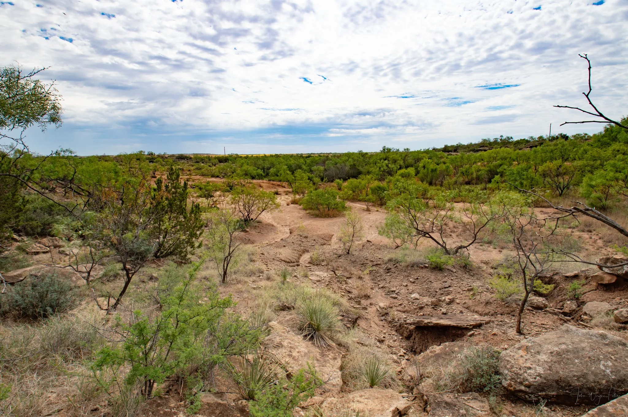 Ranch For Sale in Mitchell County , 3108 CR 125, Colorado City, Texas 79512, 0, 0, Garage spaces, 0 Sqft, built in 0, mls#20874509, Real Estate Agent in Colorado City, Homes For Sale in Mitchell county, Homes For Sale in Colorado City, Realtor in Colorado City Texas, Real Estate Brokerage Independent Realty Texas, Luminita Cordes Realtor