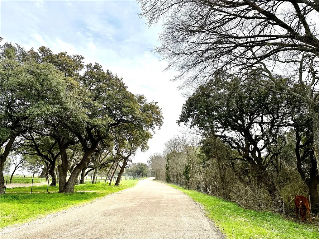 Improved Land For Sale in Coryell County , Sunset Ranch Tract 6 & 7 CR 356 Road, Gatesville, Texas 76528, 0, 0, Garage spaces, 0 Sqft, built in 0, mls#221357, Real Estate Agent in Gatesville, Homes For Sale in Coryell county, Homes For Sale in Gatesville, Realtor in Gatesville Texas, Real Estate Brokerage Independent Realty Texas, Luminita Cordes Realtor