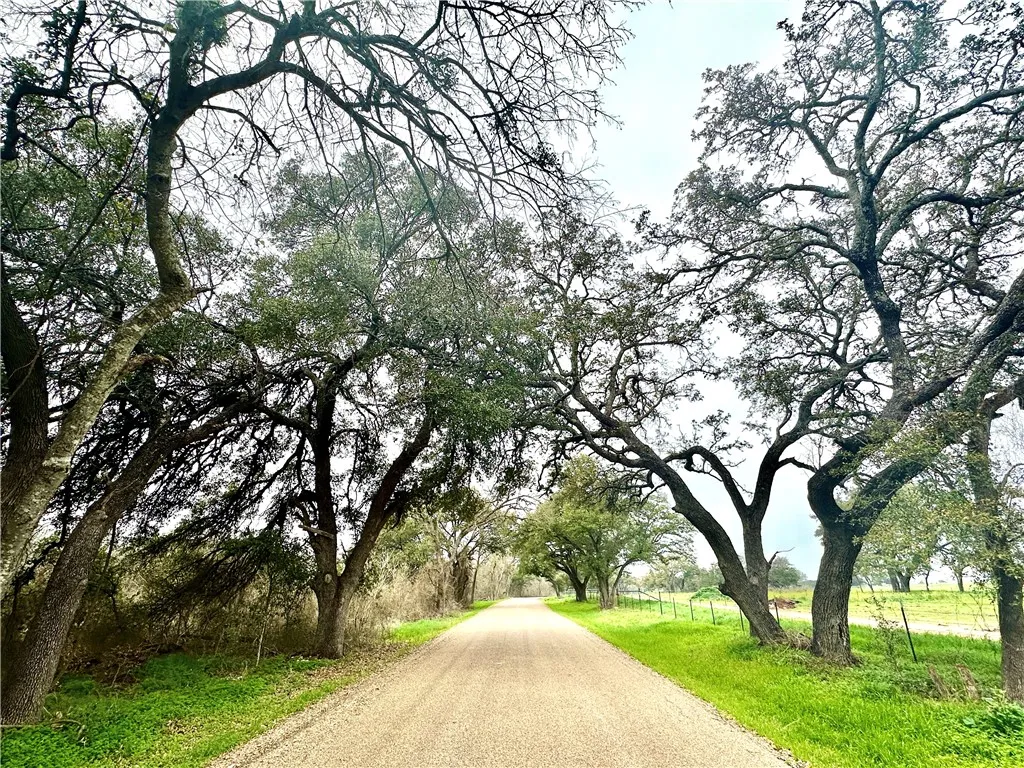 Improved Land For Sale in Coryell County , Sunset Ranch Tract 6 & 7 CR 356 Road, Gatesville, Texas 76528, 0, 0, Garage spaces, 0 Sqft, built in 0, mls#221357, Real Estate Agent in Gatesville, Homes For Sale in Coryell county, Homes For Sale in Gatesville, Realtor in Gatesville Texas, Real Estate Brokerage Independent Realty Texas, Luminita Cordes Realtor