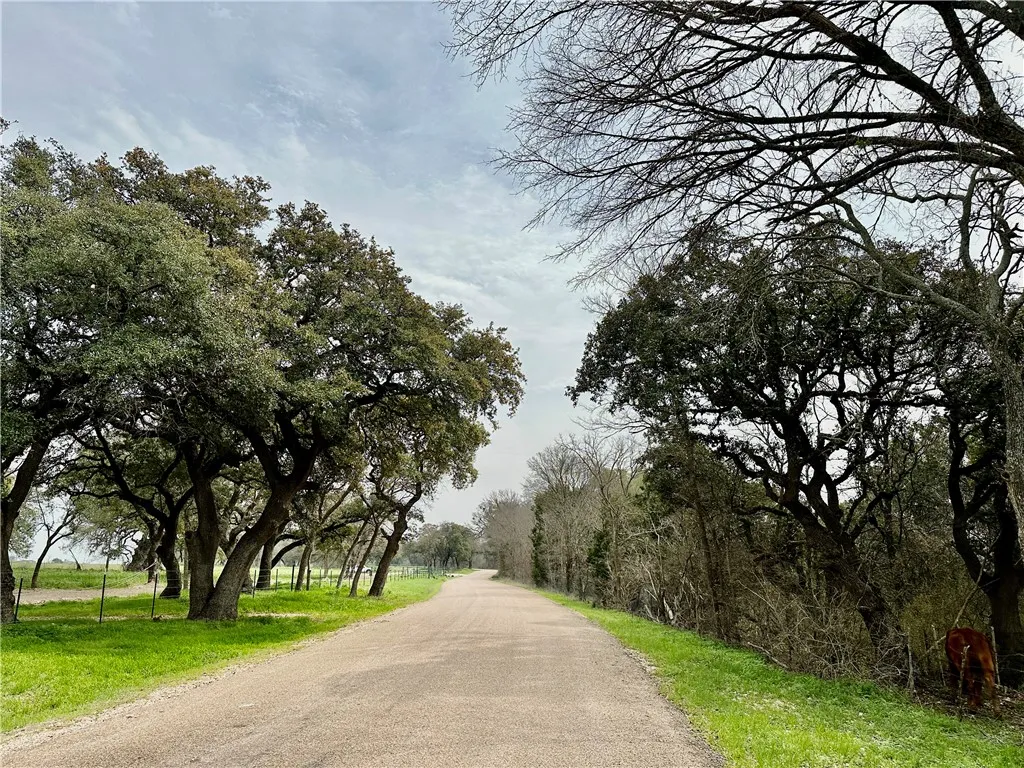 Improved Land For Sale in Coryell County , Sunset Ranch Tract 6 & 7 CR 356 Road, Gatesville, Texas 76528, 0, 0, Garage spaces, 0 Sqft, built in 0, mls#221357, Real Estate Agent in Gatesville, Homes For Sale in Coryell county, Homes For Sale in Gatesville, Realtor in Gatesville Texas, Real Estate Brokerage Independent Realty Texas, Luminita Cordes Realtor