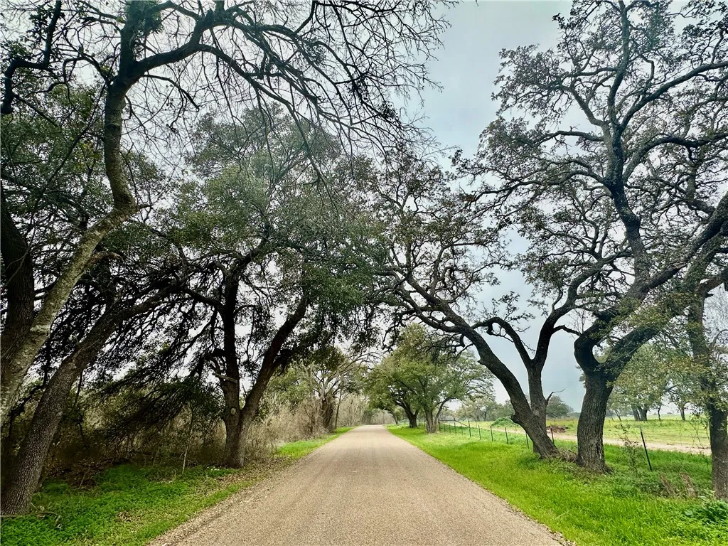 Improved Land For Sale in Coryell County , Sunset Ranch Tract 6 & 7 CR 356 Road, Gatesville, Texas 76528, 0, 0, Garage spaces, 0 Sqft, built in 0, mls#221357, Real Estate Agent in Gatesville, Homes For Sale in Coryell county, Homes For Sale in Gatesville, Realtor in Gatesville Texas, Real Estate Brokerage Independent Realty Texas, Luminita Cordes Realtor