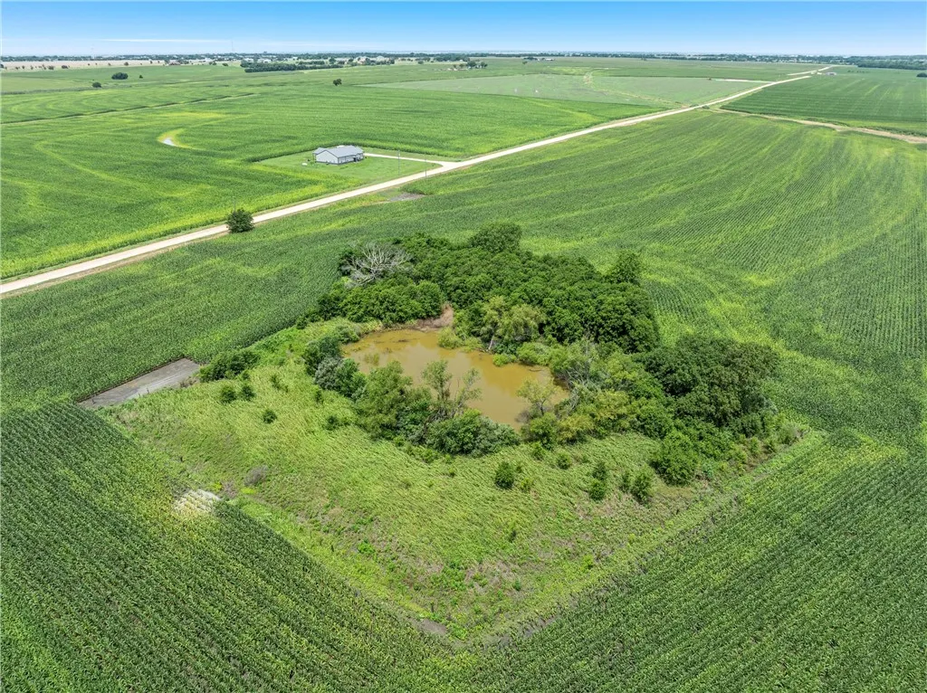 Improved Land For Sale in Mc Lennan County , TBD Lot 5 Mynar Road, West, Texas 76691, 0, 0, Garage spaces, 0 Sqft, built in 0, Price $240,000, mls#223493, Real Estate Agent in West, Homes For Sale in Mc Lennan county, Homes For Sale in West, Realtor in West Texas, Real Estate Brokerage Independent Realty Texas, Luminita Cordes Realtor