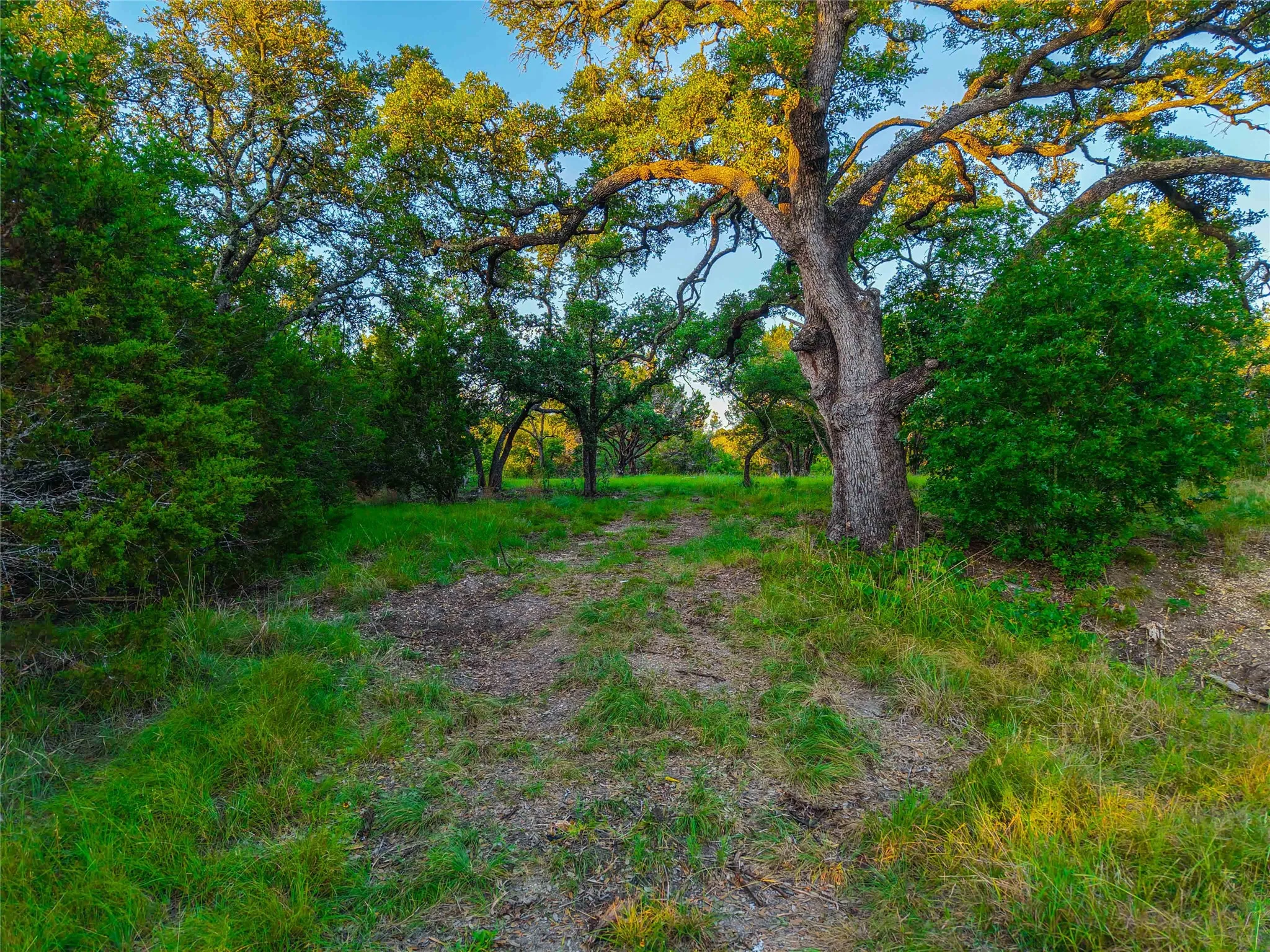 Improved Land For Sale in Hamilton County , UNK CR 421 Road, Evant, Texas 76525, 0, 0, Garage spaces, 0 Sqft, built in 0, Price $327,500, mls#221975, Real Estate Agent in Evant, Homes For Sale in Hamilton county, Homes For Sale in Evant, Realtor in Evant Texas, Real Estate Brokerage Independent Realty Texas, Luminita Cordes Realtor
