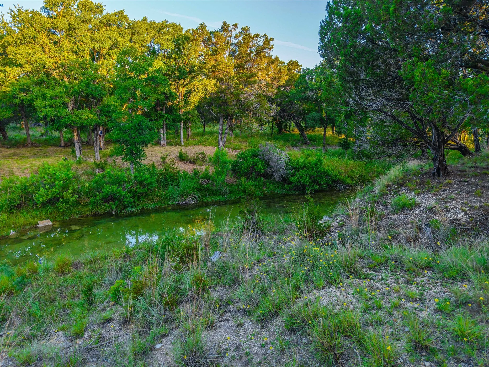 Improved Land For Sale in Hamilton County , UNK CR 421 Road, Evant, Texas 76525, 0, 0, Garage spaces, 0 Sqft, built in 0, Price $327,500, mls#221975, Real Estate Agent in Evant, Homes For Sale in Hamilton county, Homes For Sale in Evant, Realtor in Evant Texas, Real Estate Brokerage Independent Realty Texas, Luminita Cordes Realtor