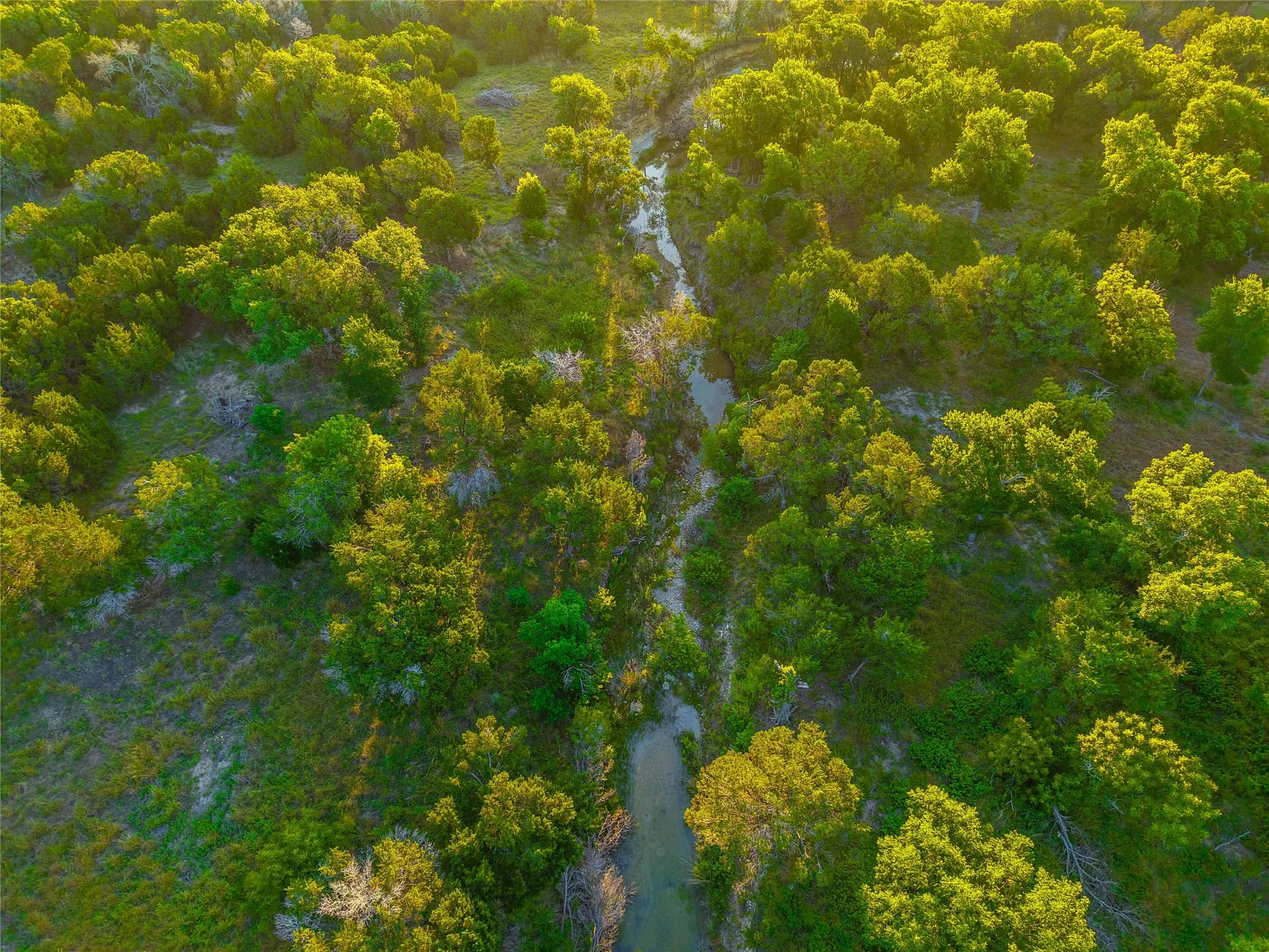 Improved Land For Sale in Hamilton County , UNK CR 421 Road, Evant, Texas 76525, 0, 0, Garage spaces, 0 Sqft, built in 0, Price $327,500, mls#221975, Real Estate Agent in Evant, Homes For Sale in Hamilton county, Homes For Sale in Evant, Realtor in Evant Texas, Real Estate Brokerage Independent Realty Texas, Luminita Cordes Realtor