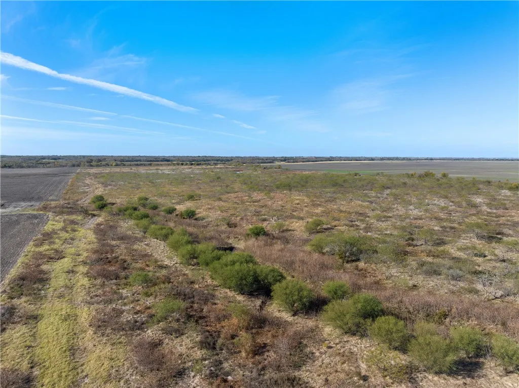 Unimproved Land For Sale in Milam County , TBD CR 273, Rosebud, Texas 76570, 0, 0, Garage spaces, 0 Sqft, built in 0, Price $1,141,465, mls#227010, Real Estate Agent in Rosebud, Homes For Sale in Milam county, Homes For Sale in Rosebud, Realtor in Rosebud Texas, Real Estate Brokerage Independent Realty Texas, Luminita Cordes Realtor