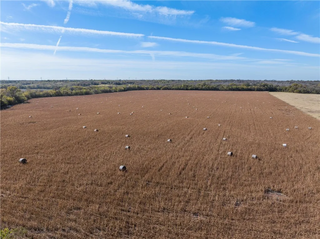 Unimproved Land For Sale in Milam County , TBD CR 273, Rosebud, Texas 76570, 0, 0, Garage spaces, 0 Sqft, built in 0, Price $1,141,465, mls#227010, Real Estate Agent in Rosebud, Homes For Sale in Milam county, Homes For Sale in Rosebud, Realtor in Rosebud Texas, Real Estate Brokerage Independent Realty Texas, Luminita Cordes Realtor