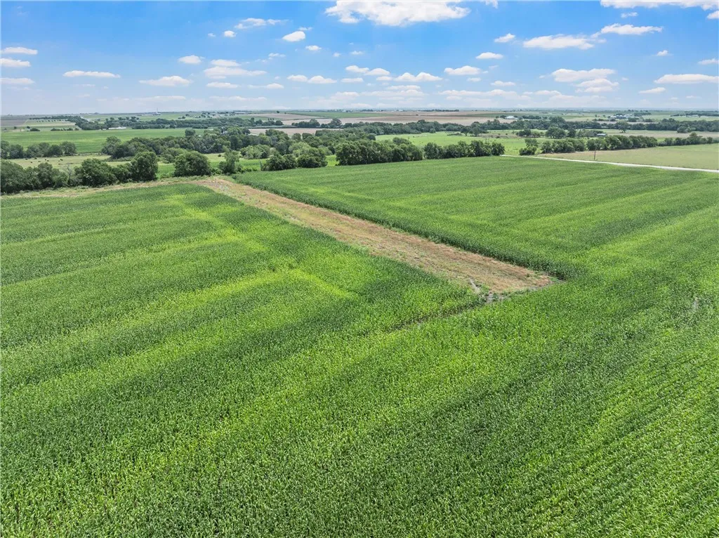 Improved Land For Sale in Mc Lennan County , TBD Cottonwood Road, West, Texas 76691, 0, 0, Garage spaces, 0 Sqft, built in 0, Price $1,263,000, mls#223474, Real Estate Agent in West, Homes For Sale in Mc Lennan county, Homes For Sale in West, Realtor in West Texas, Real Estate Brokerage Independent Realty Texas, Luminita Cordes Realtor