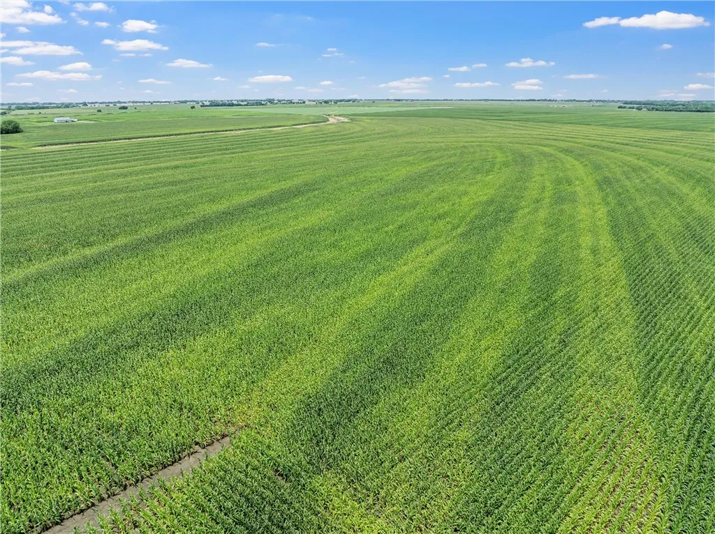 Improved Land For Sale in Mc Lennan County , TBD Cottonwood Road, West, Texas 76691, 0, 0, Garage spaces, 0 Sqft, built in 0, Price $1,263,000, mls#223474, Real Estate Agent in West, Homes For Sale in Mc Lennan county, Homes For Sale in West, Realtor in West Texas, Real Estate Brokerage Independent Realty Texas, Luminita Cordes Realtor