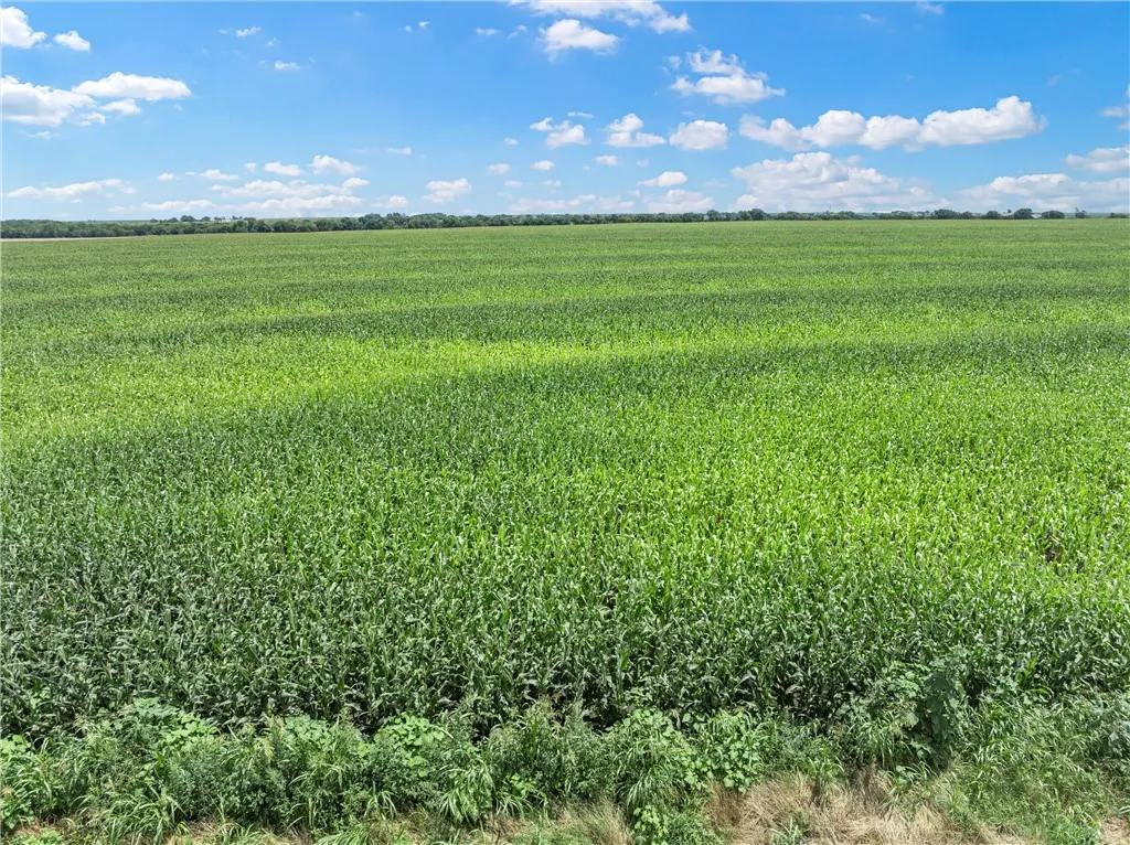 Improved Land For Sale in Mc Lennan County , TBD Cottonwood Road, West, Texas 76691, 0, 0, Garage spaces, 0 Sqft, built in 0, Price $1,263,000, mls#223474, Real Estate Agent in West, Homes For Sale in Mc Lennan county, Homes For Sale in West, Realtor in West Texas, Real Estate Brokerage Independent Realty Texas, Luminita Cordes Realtor
