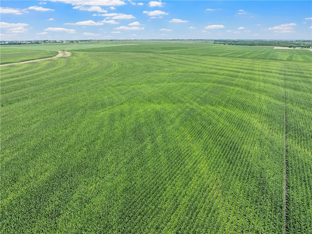 Improved Land For Sale in Mc Lennan County , TBD Cottonwood Road, West, Texas 76691, 0, 0, Garage spaces, 0 Sqft, built in 0, Price $1,263,000, mls#223474, Real Estate Agent in West, Homes For Sale in Mc Lennan county, Homes For Sale in West, Realtor in West Texas, Real Estate Brokerage Independent Realty Texas, Luminita Cordes Realtor