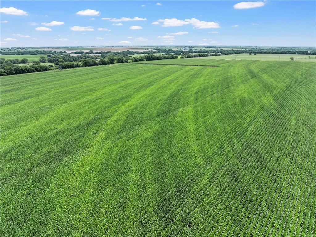 Improved Land For Sale in Mc Lennan County , TBD Cottonwood Road, West, Texas 76691, 0, 0, Garage spaces, 0 Sqft, built in 0, Price $1,263,000, mls#223474, Real Estate Agent in West, Homes For Sale in Mc Lennan county, Homes For Sale in West, Realtor in West Texas, Real Estate Brokerage Independent Realty Texas, Luminita Cordes Realtor
