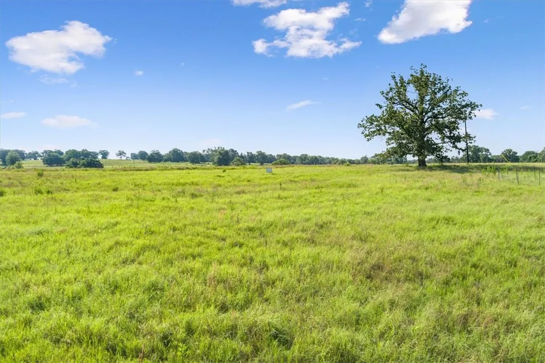 Unimproved Land For Sale in Limestone County , TBD LCR 707, Kosse, Texas 76653, 0, 0, Garage spaces, 0 Sqft, built in 0, mls#216134, Real Estate Agent in Kosse, Homes For Sale in Limestone county, Homes For Sale in Kosse, Realtor in Kosse Texas, Real Estate Brokerage Independent Realty Texas, Luminita Cordes Realtor