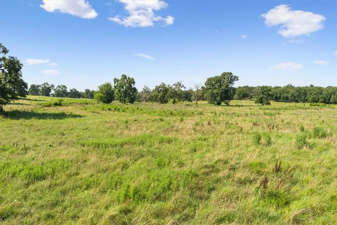 Unimproved Land For Sale in Limestone County , TBD LCR 707, Kosse, Texas 76653, 0, 0, Garage spaces, 0 Sqft, built in 0, mls#216134, Real Estate Agent in Kosse, Homes For Sale in Limestone county, Homes For Sale in Kosse, Realtor in Kosse Texas, Real Estate Brokerage Independent Realty Texas, Luminita Cordes Realtor