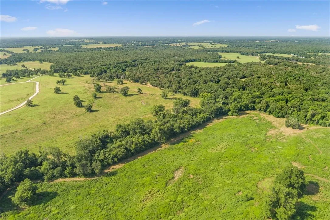 Unimproved Land For Sale in Limestone County , TBD LCR 707, Kosse, Texas 76653, 0, 0, Garage spaces, 0 Sqft, built in 0, mls#216134, Real Estate Agent in Kosse, Homes For Sale in Limestone county, Homes For Sale in Kosse, Realtor in Kosse Texas, Real Estate Brokerage Independent Realty Texas, Luminita Cordes Realtor