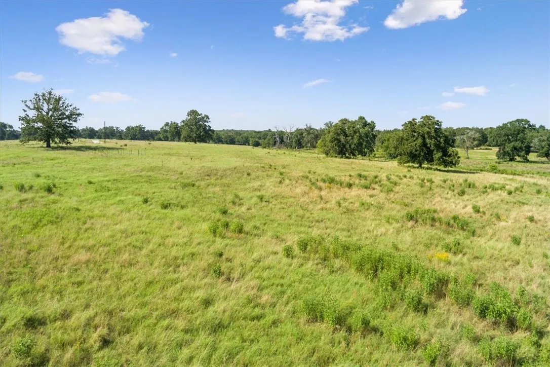 Unimproved Land For Sale in Limestone County , TBD LCR 707, Kosse, Texas 76653, 0, 0, Garage spaces, 0 Sqft, built in 0, mls#216134, Real Estate Agent in Kosse, Homes For Sale in Limestone county, Homes For Sale in Kosse, Realtor in Kosse Texas, Real Estate Brokerage Independent Realty Texas, Luminita Cordes Realtor