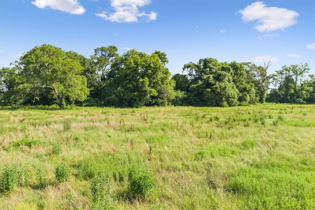 Unimproved Land For Sale in Limestone County , TBD LCR 707, Kosse, Texas 76653, 0, 0, Garage spaces, 0 Sqft, built in 0, mls#216134, Real Estate Agent in Kosse, Homes For Sale in Limestone county, Homes For Sale in Kosse, Realtor in Kosse Texas, Real Estate Brokerage Independent Realty Texas, Luminita Cordes Realtor