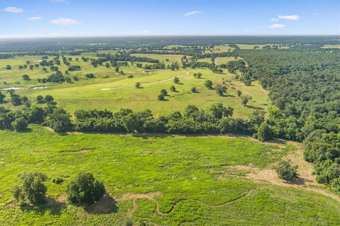 Unimproved Land For Sale in Limestone County , TBD LCR 707, Kosse, Texas 76653, 0, 0, Garage spaces, 0 Sqft, built in 0, mls#216134, Real Estate Agent in Kosse, Homes For Sale in Limestone county, Homes For Sale in Kosse, Realtor in Kosse Texas, Real Estate Brokerage Independent Realty Texas, Luminita Cordes Realtor