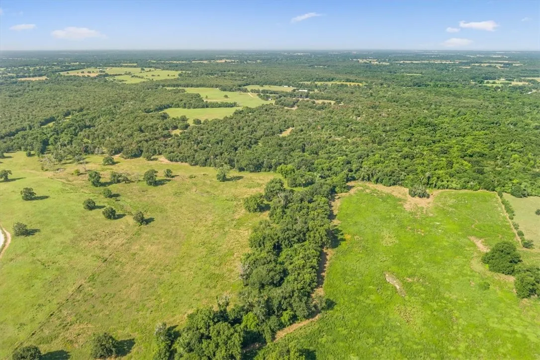 Unimproved Land For Sale in Limestone County , TBD LCR 707, Kosse, Texas 76653, 0, 0, Garage spaces, 0 Sqft, built in 0, mls#216134, Real Estate Agent in Kosse, Homes For Sale in Limestone county, Homes For Sale in Kosse, Realtor in Kosse Texas, Real Estate Brokerage Independent Realty Texas, Luminita Cordes Realtor