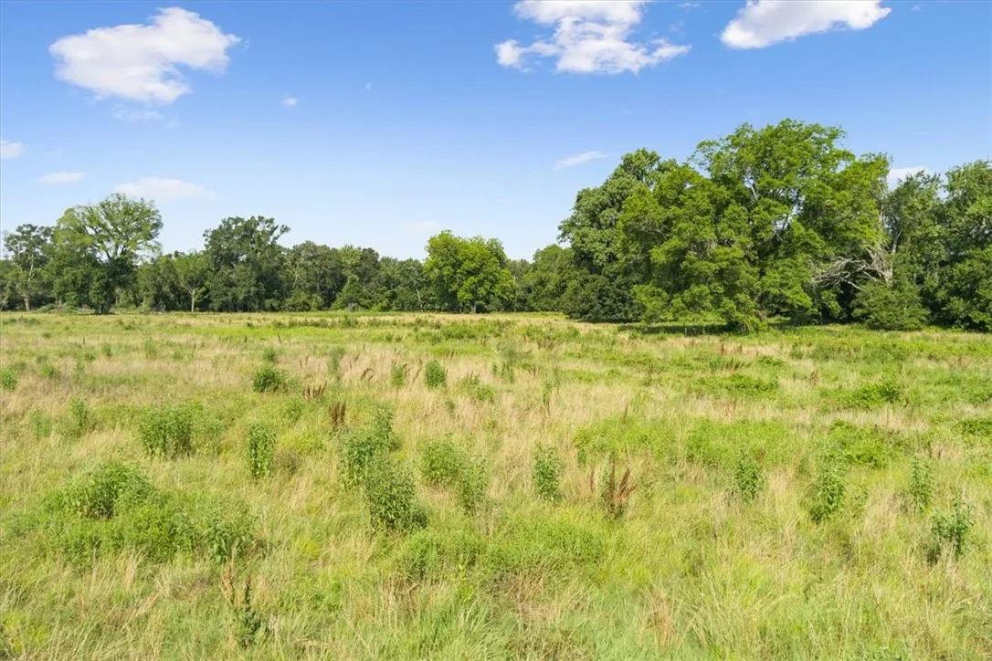 Unimproved Land For Sale in Limestone County , TBD LCR 707, Kosse, Texas 76653, 0, 0, Garage spaces, 0 Sqft, built in 0, mls#216134, Real Estate Agent in Kosse, Homes For Sale in Limestone county, Homes For Sale in Kosse, Realtor in Kosse Texas, Real Estate Brokerage Independent Realty Texas, Luminita Cordes Realtor