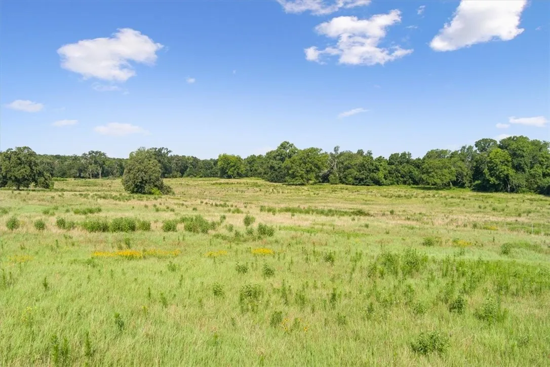 Unimproved Land For Sale in Limestone County , TBD LCR 707, Kosse, Texas 76653, 0, 0, Garage spaces, 0 Sqft, built in 0, mls#216134, Real Estate Agent in Kosse, Homes For Sale in Limestone county, Homes For Sale in Kosse, Realtor in Kosse Texas, Real Estate Brokerage Independent Realty Texas, Luminita Cordes Realtor