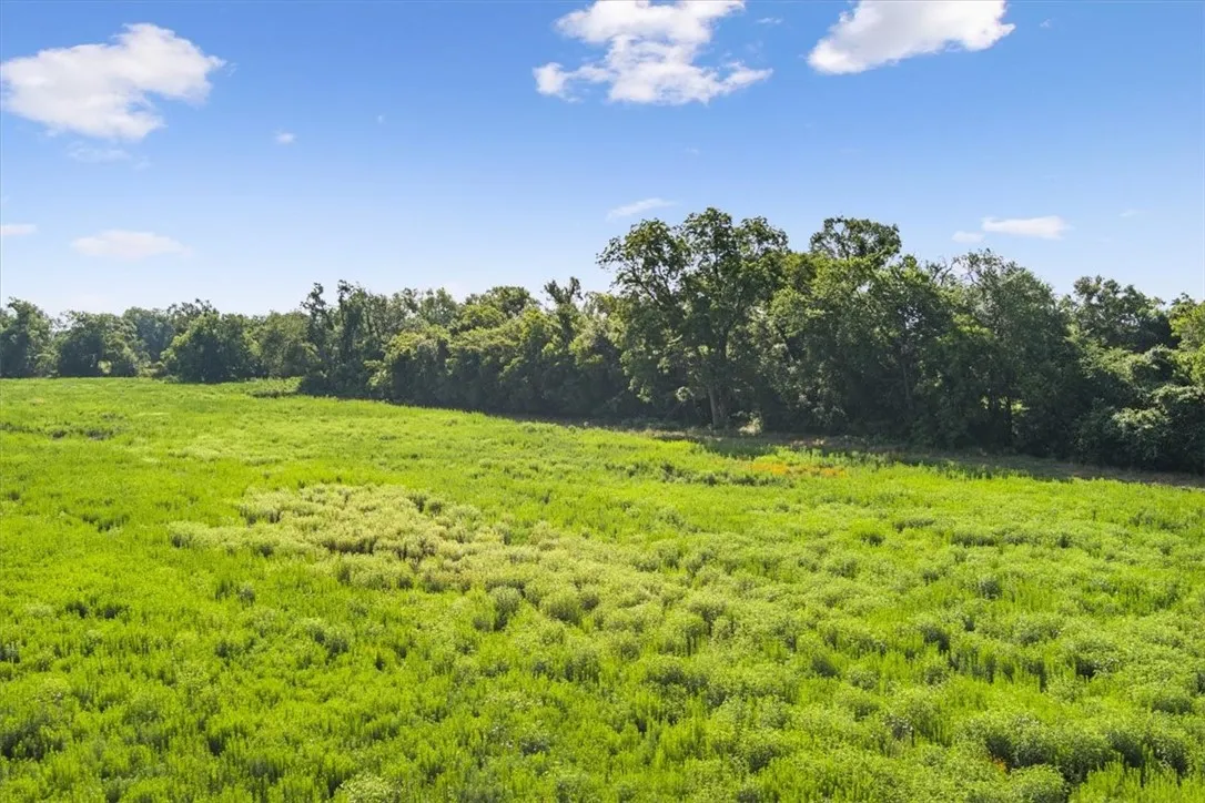 Unimproved Land For Sale in Limestone County , TBD LCR 707, Kosse, Texas 76653, 0, 0, Garage spaces, 0 Sqft, built in 0, mls#216134, Real Estate Agent in Kosse, Homes For Sale in Limestone county, Homes For Sale in Kosse, Realtor in Kosse Texas, Real Estate Brokerage Independent Realty Texas, Luminita Cordes Realtor