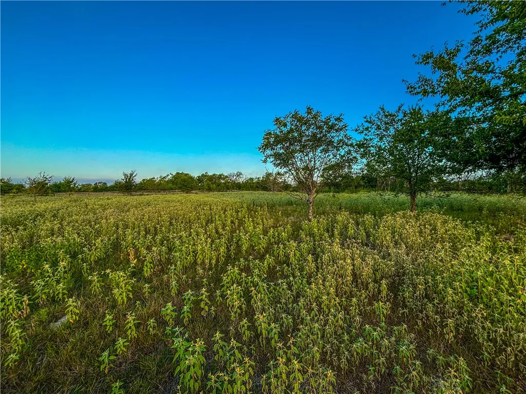Unimproved Land For Sale in Limestone County , UNK LCR 660 Road, Kosse, Texas 76653, 0, 0, Garage spaces, 0 Sqft, built in 0, Price $115,000, mls#225263, Real Estate Agent in Kosse, Homes For Sale in Limestone county, Homes For Sale in Kosse, Realtor in Kosse Texas, Real Estate Brokerage Independent Realty Texas, Luminita Cordes Realtor