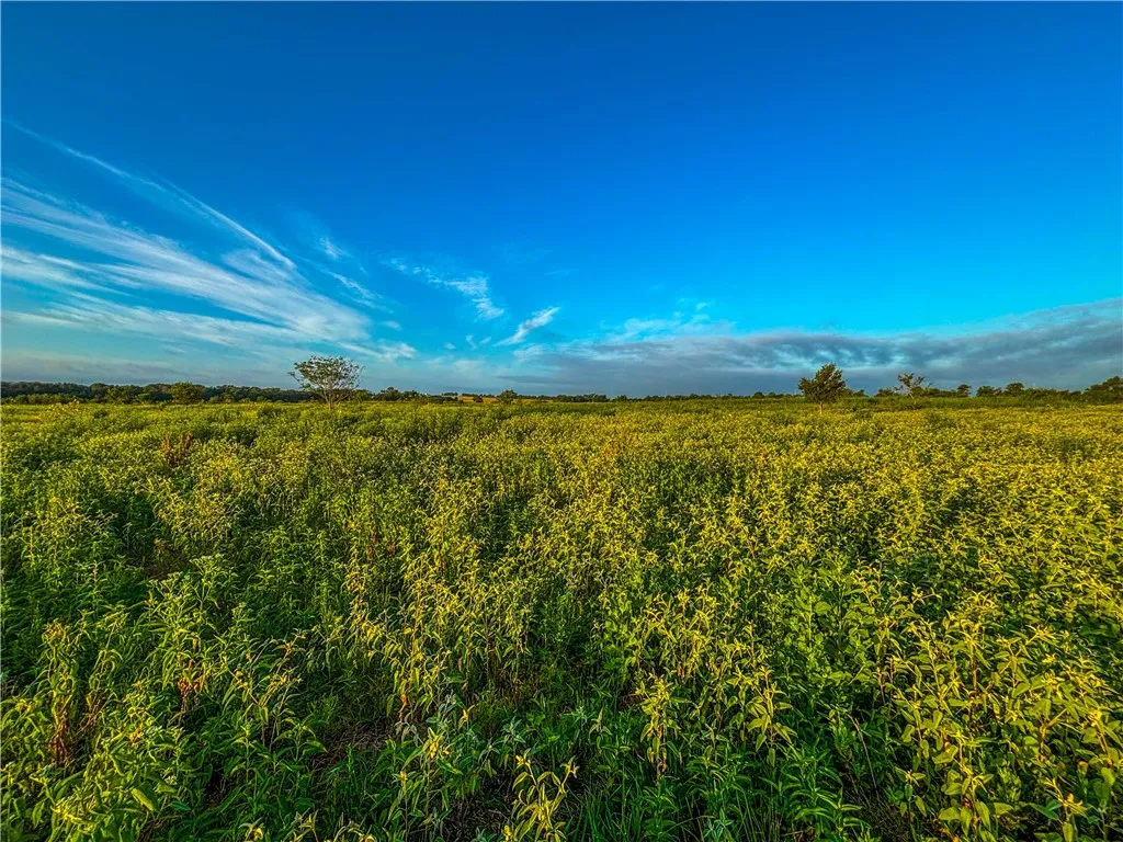 Unimproved Land For Sale in Limestone County , UNK LCR 660 Road, Kosse, Texas 76653, 0, 0, Garage spaces, 0 Sqft, built in 0, Price $115,000, mls#225263, Real Estate Agent in Kosse, Homes For Sale in Limestone county, Homes For Sale in Kosse, Realtor in Kosse Texas, Real Estate Brokerage Independent Realty Texas, Luminita Cordes Realtor