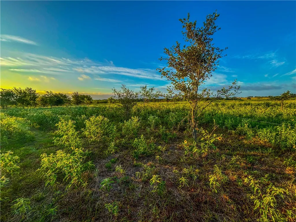 Unimproved Land For Sale in Limestone County , UNK LCR 660 Road, Kosse, Texas 76653, 0, 0, Garage spaces, 0 Sqft, built in 0, Price $115,000, mls#225263, Real Estate Agent in Kosse, Homes For Sale in Limestone county, Homes For Sale in Kosse, Realtor in Kosse Texas, Real Estate Brokerage Independent Realty Texas, Luminita Cordes Realtor