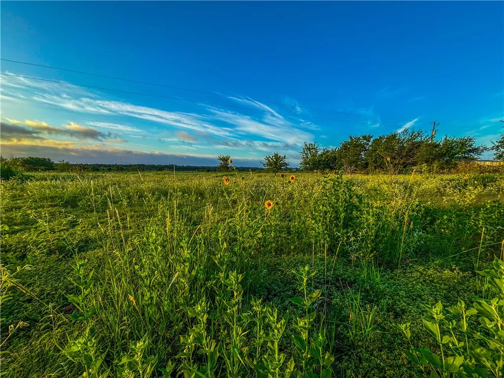 Unimproved Land For Sale in Limestone County , UNK LCR 660 Road, Kosse, Texas 76653, 0, 0, Garage spaces, 0 Sqft, built in 0, Price $115,000, mls#225263, Real Estate Agent in Kosse, Homes For Sale in Limestone county, Homes For Sale in Kosse, Realtor in Kosse Texas, Real Estate Brokerage Independent Realty Texas, Luminita Cordes Realtor