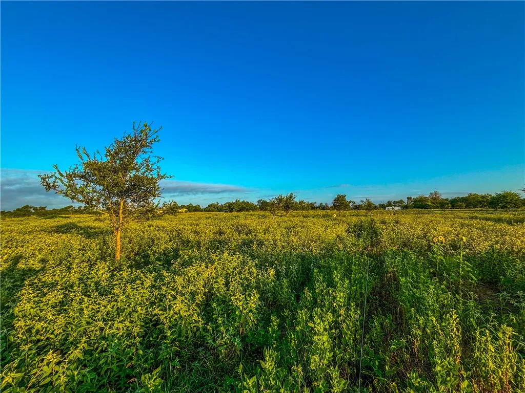 Unimproved Land For Sale in Limestone County , UNK LCR 660 Road, Kosse, Texas 76653, 0, 0, Garage spaces, 0 Sqft, built in 0, Price $115,000, mls#225263, Real Estate Agent in Kosse, Homes For Sale in Limestone county, Homes For Sale in Kosse, Realtor in Kosse Texas, Real Estate Brokerage Independent Realty Texas, Luminita Cordes Realtor