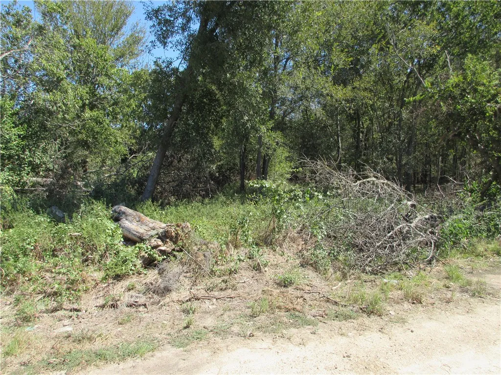 Unimproved Land For Sale in Falls County , 0 CR 2872 Street, Marlin, Texas 76661, 0, 0, Garage spaces, 0 Sqft, built in 0, mls#226619, Real Estate Agent in Marlin, Homes For Sale in Falls county, Homes For Sale in Marlin, Realtor in Marlin Texas, Real Estate Brokerage Independent Realty Texas, Luminita Cordes Realtor
