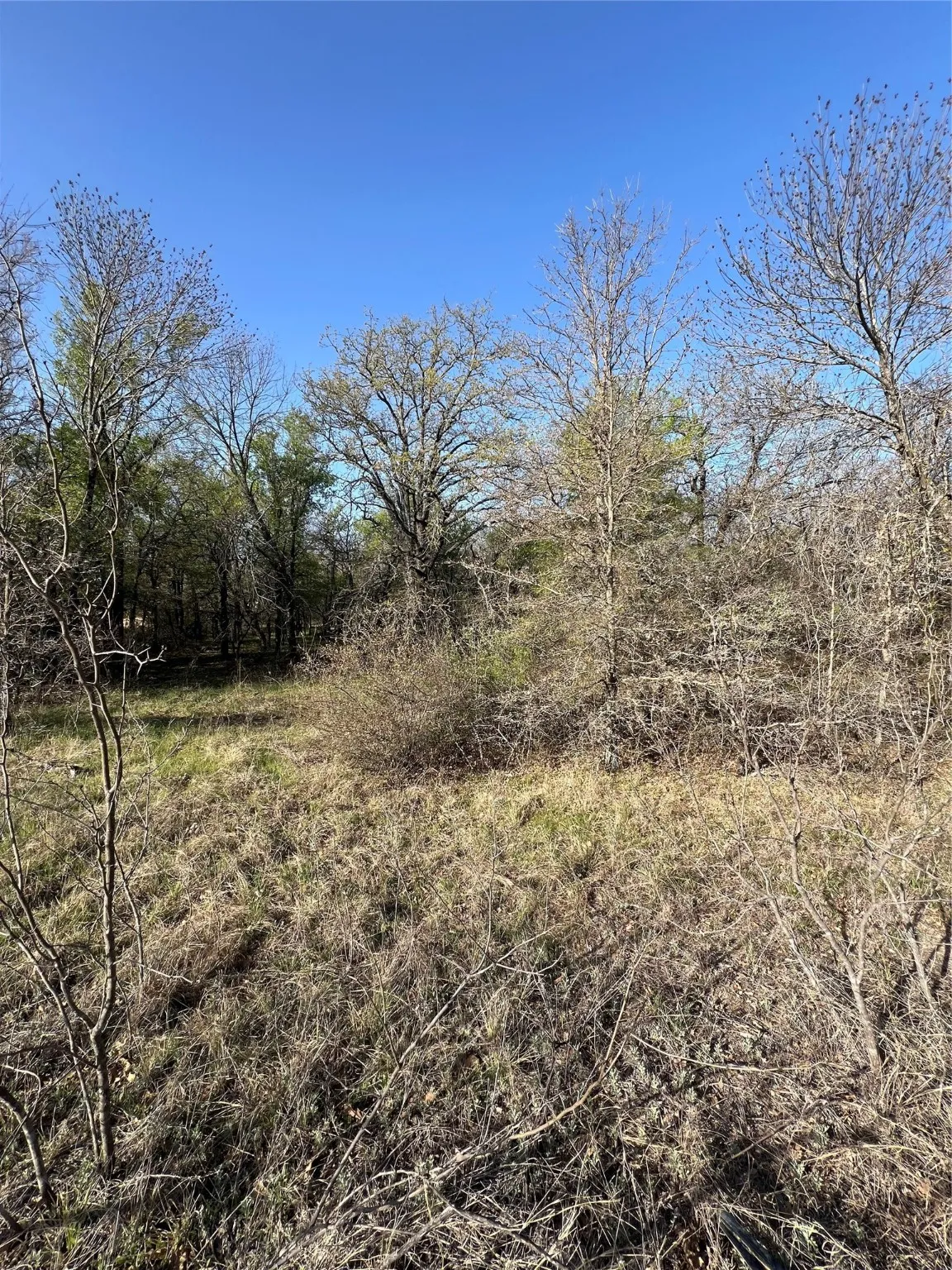 View of nature
