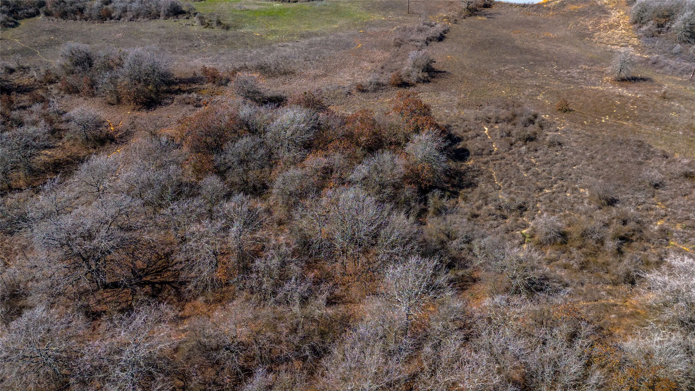 Unimproved Land For Sale in Wise County , TBD Salt Creek Road, Springtown, Texas 76082, 0, 0, Garage spaces, 0 Sqft, built in 0, mls#20876636, Real Estate Agent in Springtown, Homes For Sale in Wise county, Homes For Sale in Springtown, Realtor in Springtown Texas, Real Estate Brokerage Independent Realty Texas, Luminita Cordes Realtor
