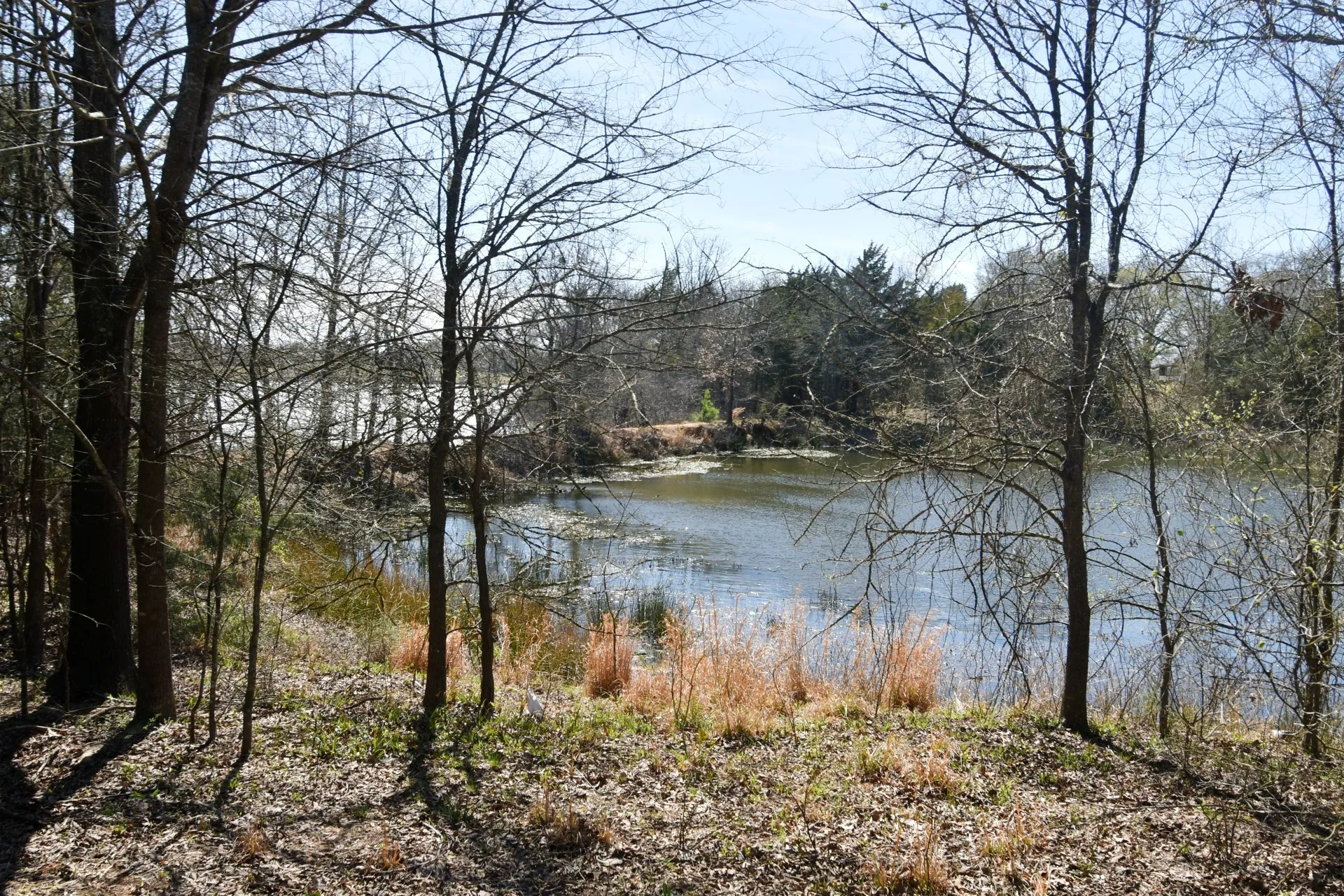 Unimproved Land For Sale in Rains County , 16.27 Acres FM 2946, Emory, Texas 75440, 0, 0, Garage spaces, 0 Sqft, built in 0, mls#20874381, Real Estate Agent in Emory, Homes For Sale in Rains county, Homes For Sale in Emory, Realtor in Emory Texas, Real Estate Brokerage Independent Realty Texas, Luminita Cordes Realtor