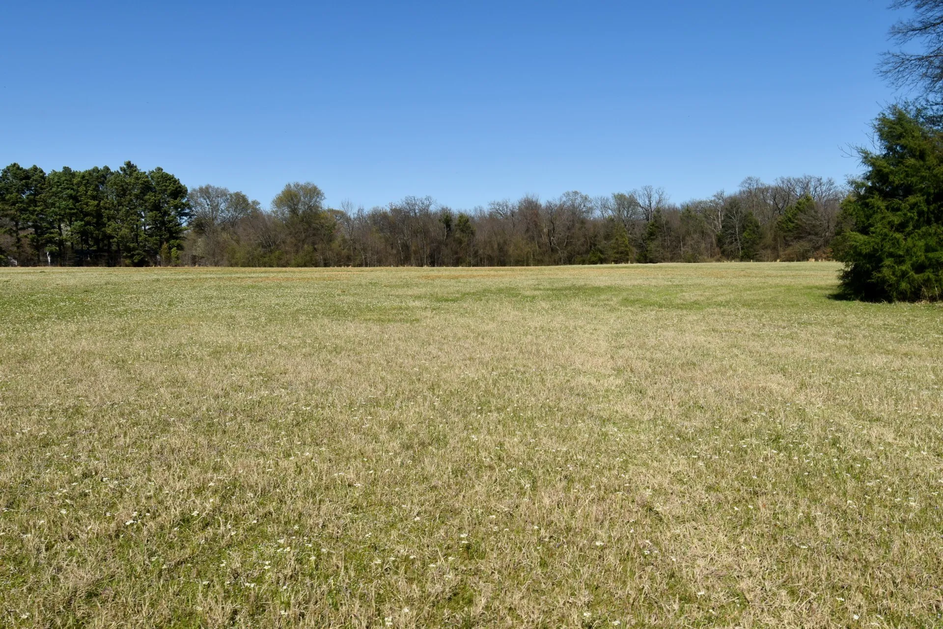 Unimproved Land For Sale in Rains County , 16.27 Acres FM 2946, Emory, Texas 75440, 0, 0, Garage spaces, 0 Sqft, built in 0, mls#20874381, Real Estate Agent in Emory, Homes For Sale in Rains county, Homes For Sale in Emory, Realtor in Emory Texas, Real Estate Brokerage Independent Realty Texas, Luminita Cordes Realtor