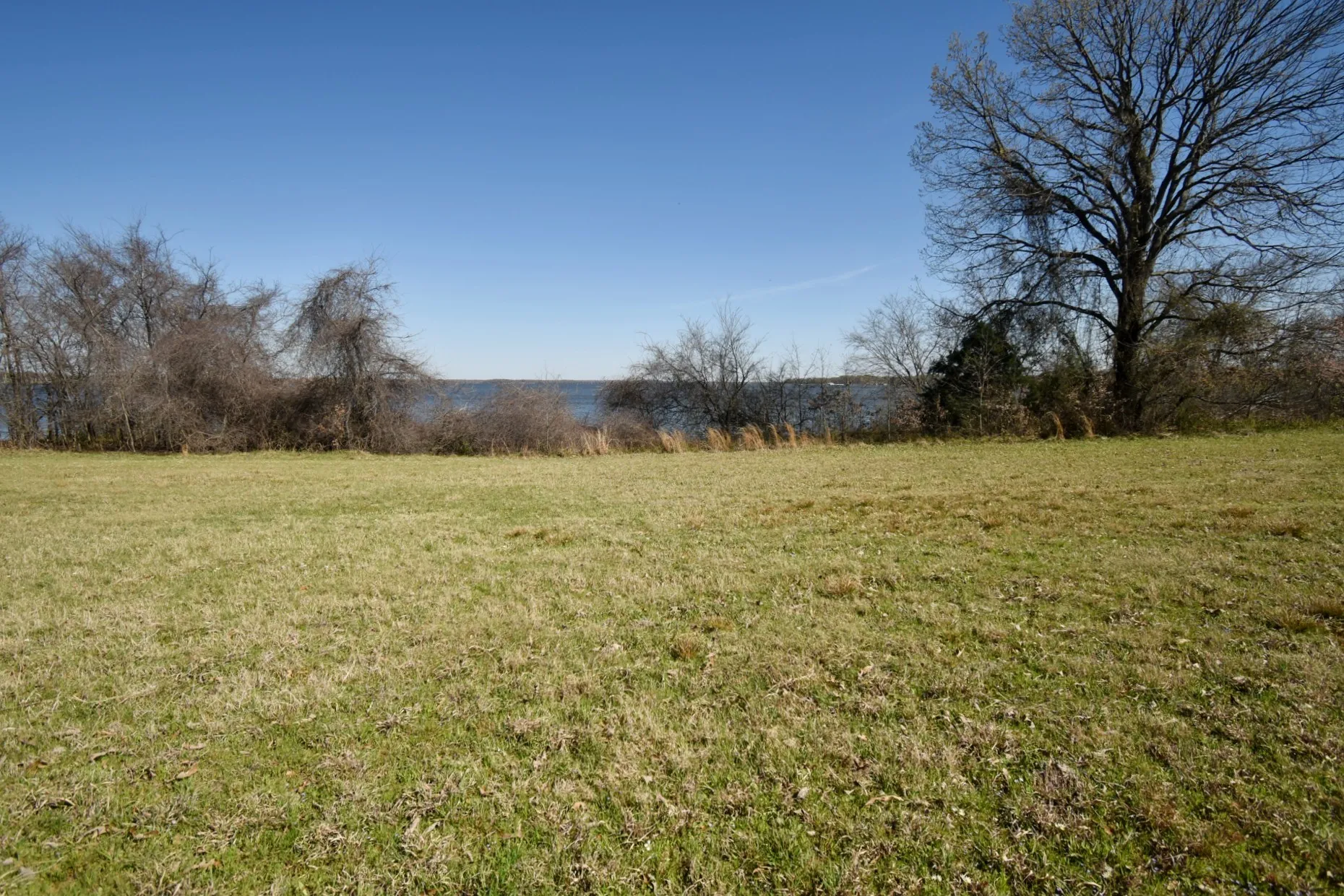 Unimproved Land For Sale in Rains County , 16.27 Acres FM 2946, Emory, Texas 75440, 0, 0, Garage spaces, 0 Sqft, built in 0, mls#20874381, Real Estate Agent in Emory, Homes For Sale in Rains county, Homes For Sale in Emory, Realtor in Emory Texas, Real Estate Brokerage Independent Realty Texas, Luminita Cordes Realtor